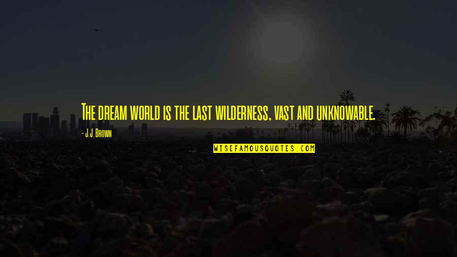 World And Dream Quotes By J.J. Brown: The dream world is the last wilderness, vast