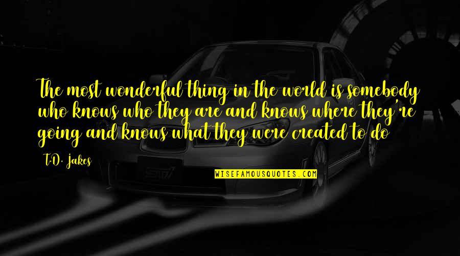 World And Dream Quotes By T.D. Jakes: The most wonderful thing in the world is