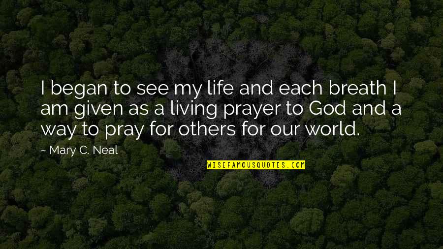 World And God Quotes By Mary C. Neal: I began to see my life and each World And God Quotes By Mary C. Neal: I began to see my life and each