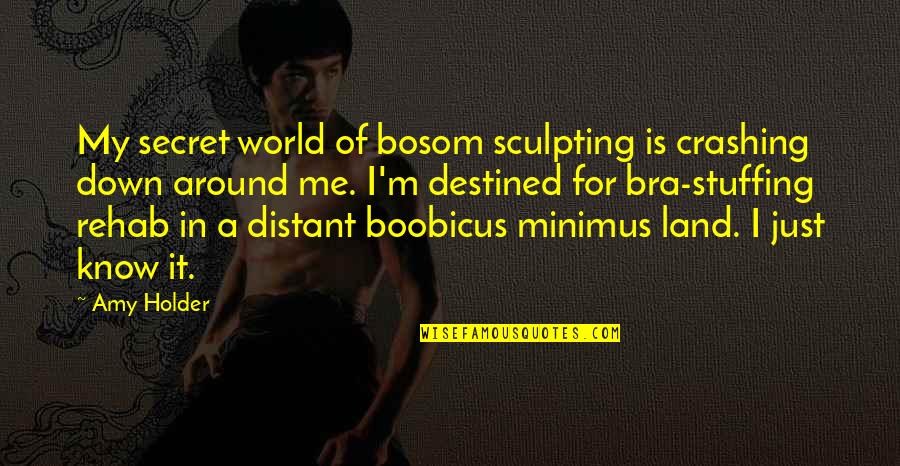 World Crashing Around Me Quotes By Amy Holder: My secret world of bosom sculpting is crashing