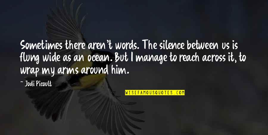 World Famous Money Quotes By Jodi Picoult: Sometimes there aren't words. The silence between us