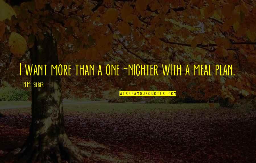 World Famous Wise Quotes By N.M. Silber: I want more than a one-nighter with a