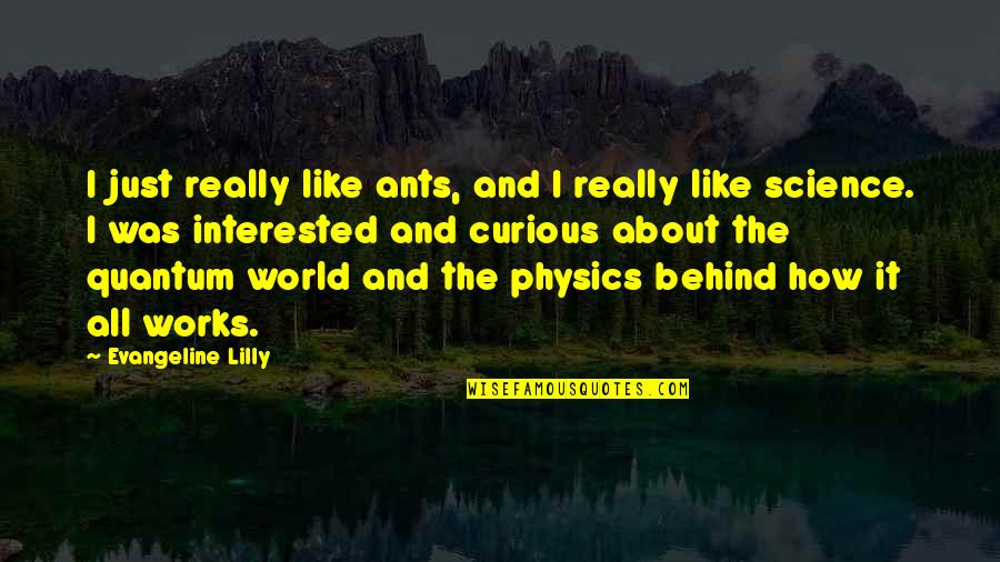 World From Ants Quotes By Evangeline Lilly: I just really like ants, and I really