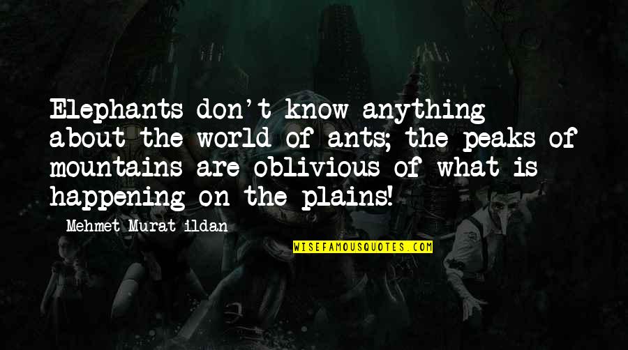 World From Ants Quotes By Mehmet Murat Ildan: Elephants don't know anything about the world of