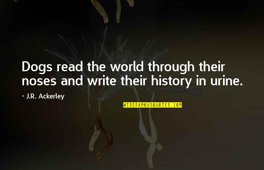 World History Quotes By J.R. Ackerley: Dogs read the world through their noses and