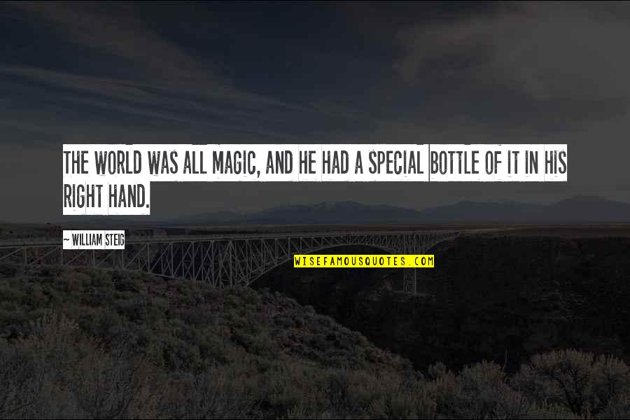 World In Hand Quotes By William Steig: The world was all magic, and he had