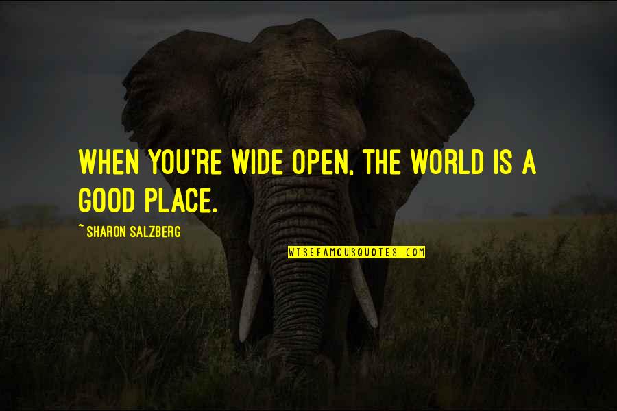World Is A Good Place Quotes By Sharon Salzberg: When you're wide open, the world is a