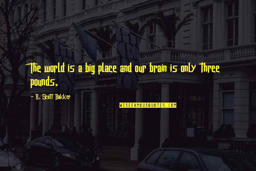 World Is Big Quotes By R. Scott Bakker: The world is a big place and our