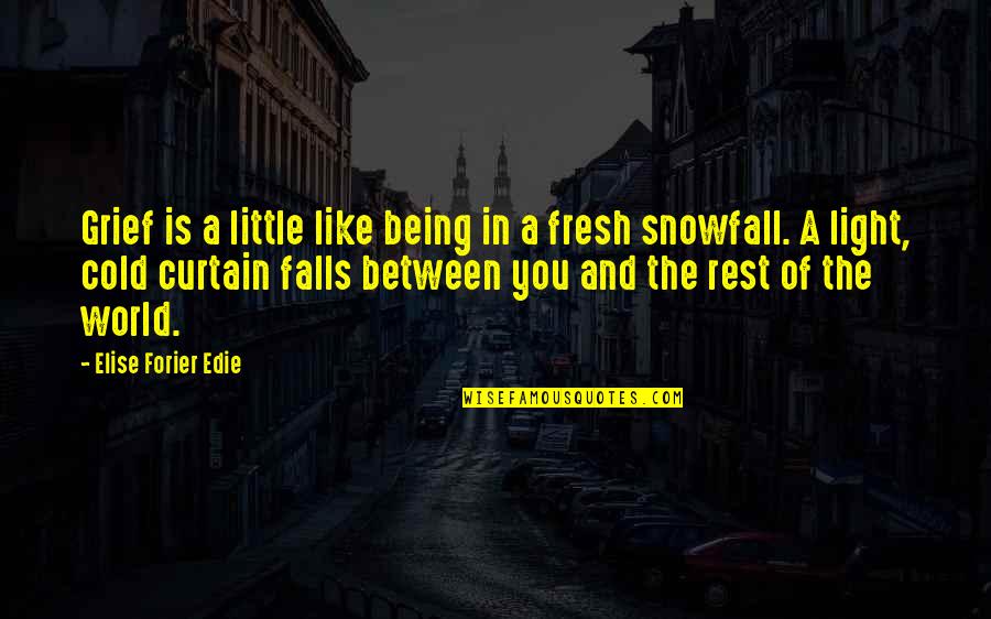 World Is Cold Quotes By Elise Forier Edie: Grief is a little like being in a