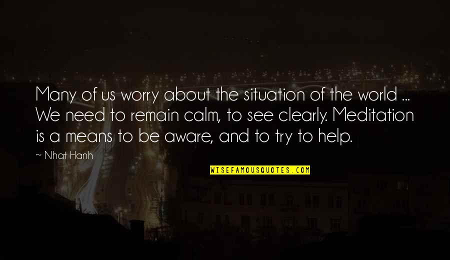 World Is Mean Quotes By Nhat Hanh: Many of us worry about the situation of