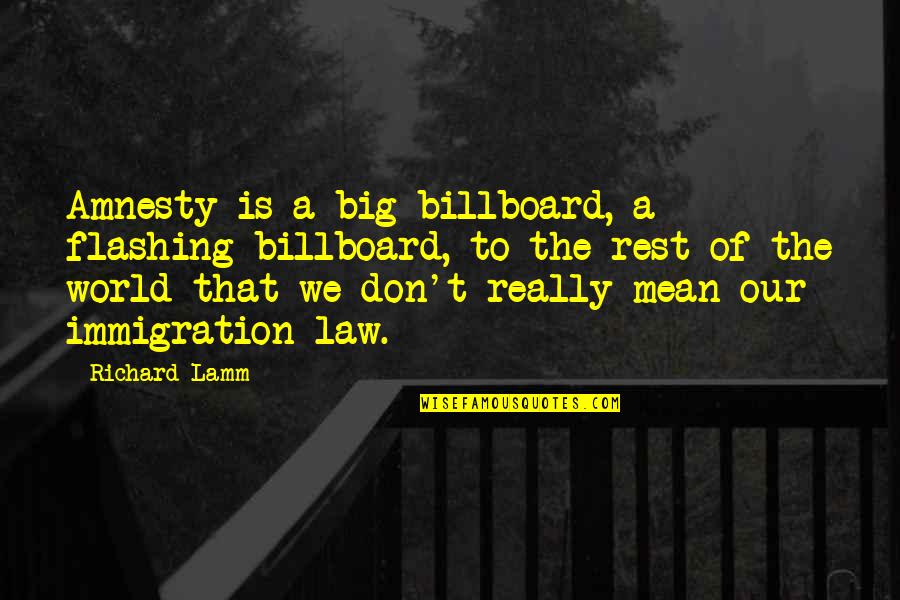 World Is Mean Quotes By Richard Lamm: Amnesty is a big billboard, a flashing billboard,