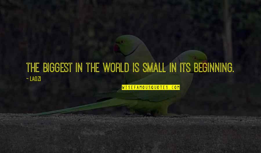 World Is Small Quotes By Laozi: The biggest in the world is small in