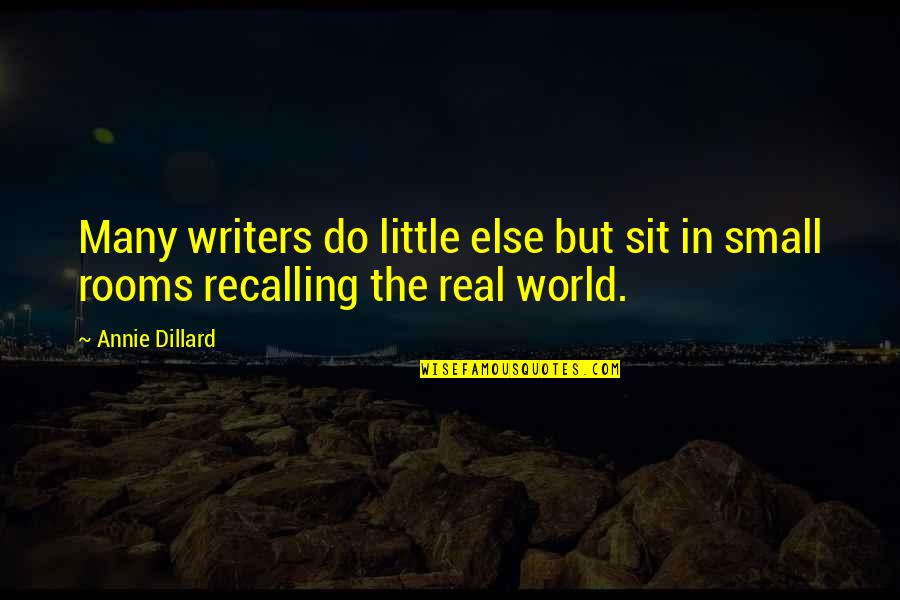 World Is So Small Quotes By Annie Dillard: Many writers do little else but sit in