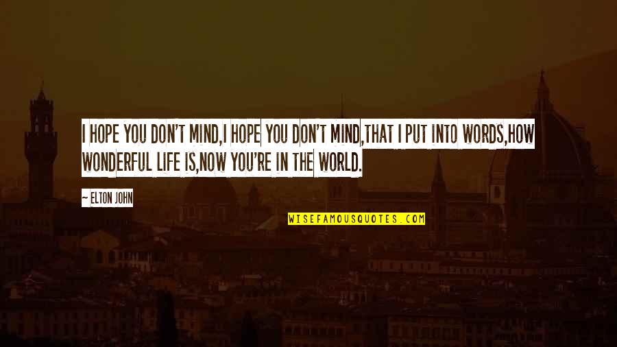 World Is Wonderful Quotes By Elton John: I hope you don't mind,I hope you don't