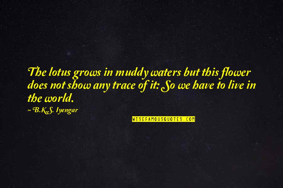 World It Show Quotes By B.K.S. Iyengar: The lotus grows in muddy waters but this World It Show Quotes By B.K.S. Iyengar: The lotus grows in muddy waters but this