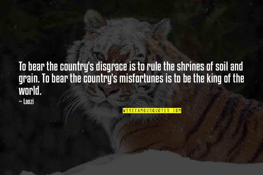 World King Quotes By Laozi: To bear the country's disgrace is to rule