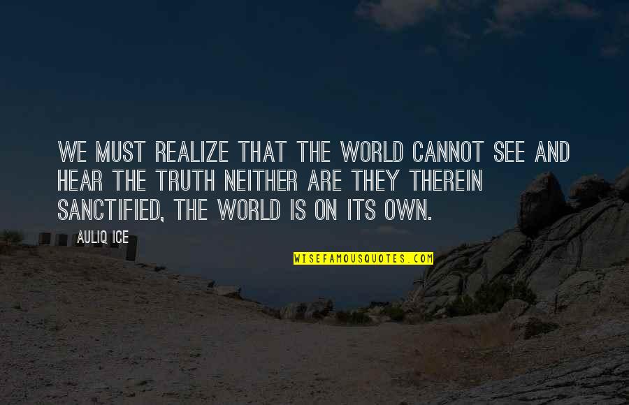 World Of Hatred Quotes By Auliq Ice: We must realize that the world cannot see World Of Hatred Quotes By Auliq Ice: We must realize that the world cannot see