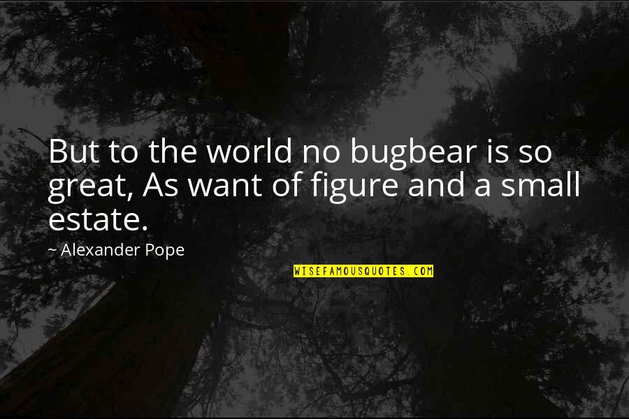 World So Small Quotes By Alexander Pope: But to the world no bugbear is so