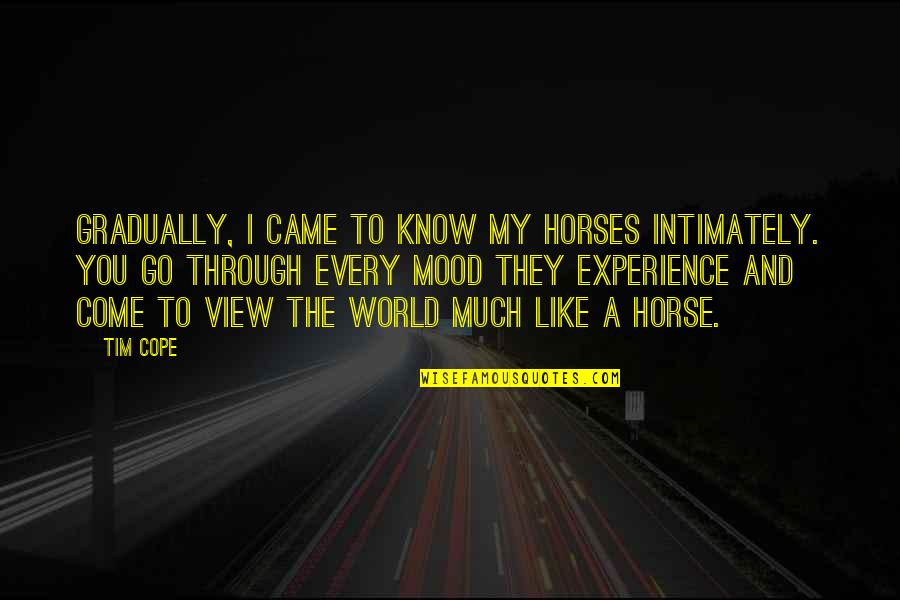 World To Come Quotes By Tim Cope: Gradually, I came to know my horses intimately. World To Come Quotes By Tim Cope: Gradually, I came to know my horses intimately.