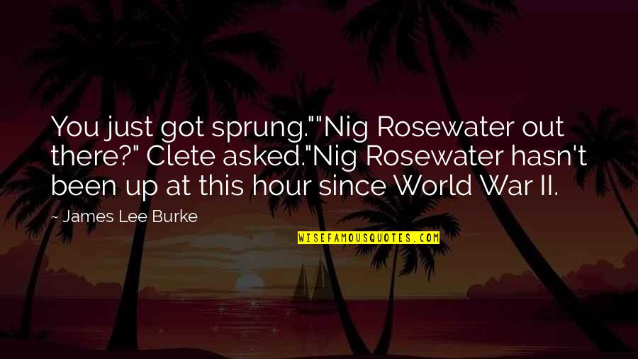 World War Ii Quotes By James Lee Burke: You just got sprung.""Nig Rosewater out there?" Clete