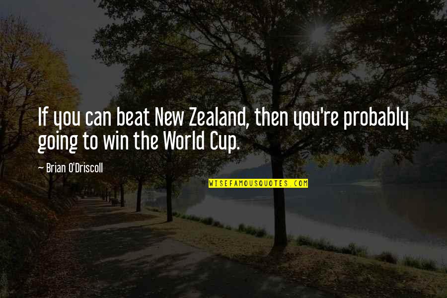 World Were Going Quotes By Brian O'Driscoll: If you can beat New Zealand, then you're