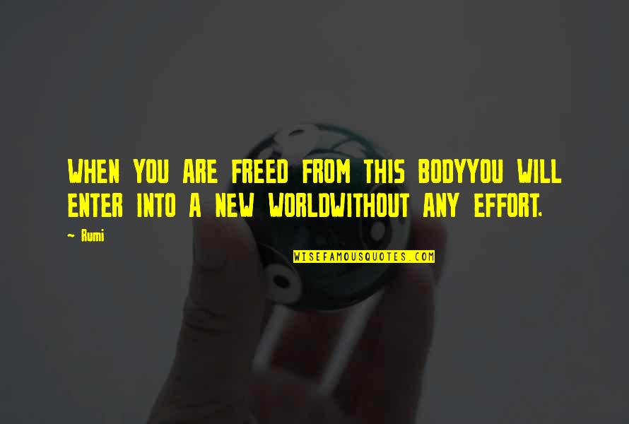 World Without You Quotes By Rumi: WHEN YOU ARE FREED FROM THIS BODYYOU WILL