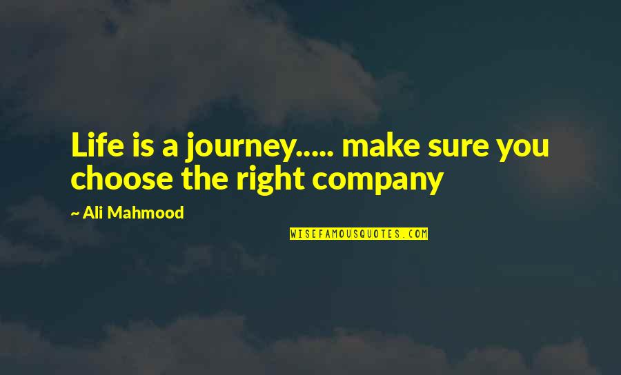 Worldly Possessions Quotes By Ali Mahmood: Life is a journey..... make sure you choose