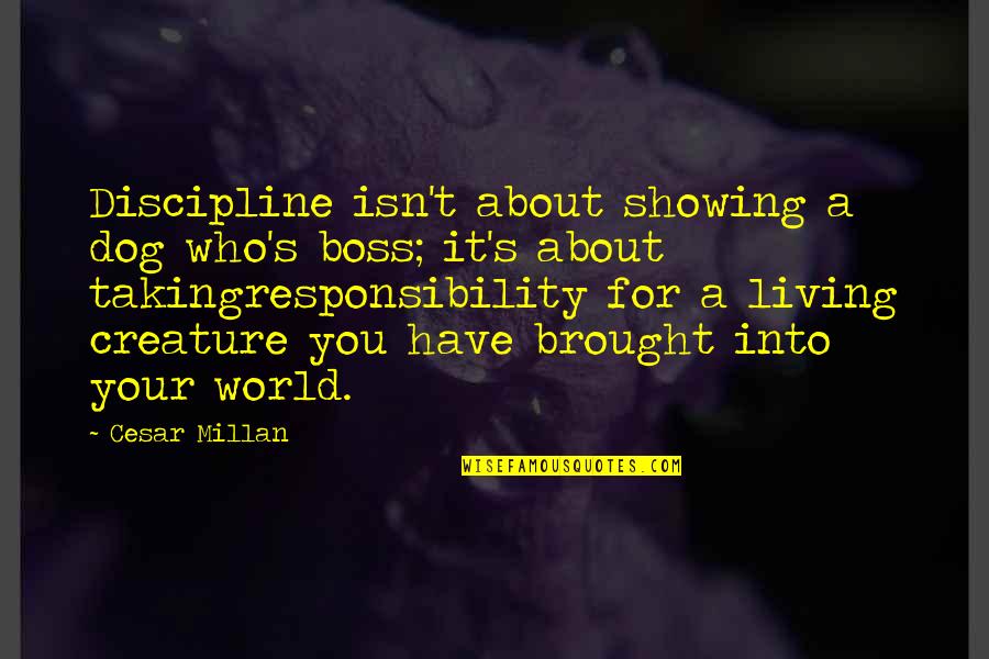 World's Best Boss Quotes By Cesar Millan: Discipline isn't about showing a dog who's boss; World's Best Boss Quotes By Cesar Millan: Discipline isn't about showing a dog who's boss;