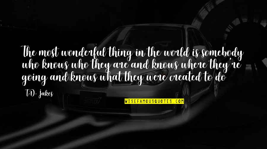 World's Most Wonderful Quotes By T.D. Jakes: The most wonderful thing in the world is