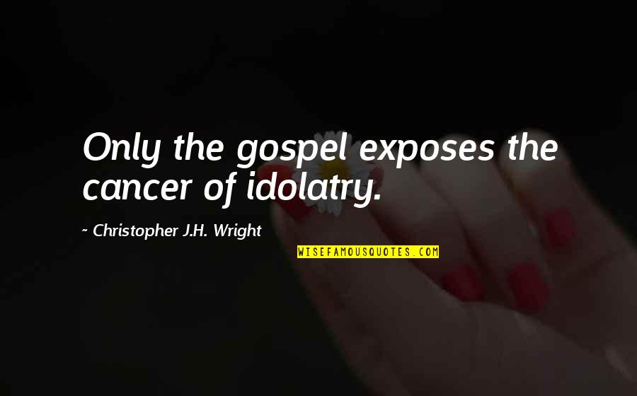 Worlds The Most Beautiful Identical Twins Quotes By Christopher J.H. Wright: Only the gospel exposes the cancer of idolatry.