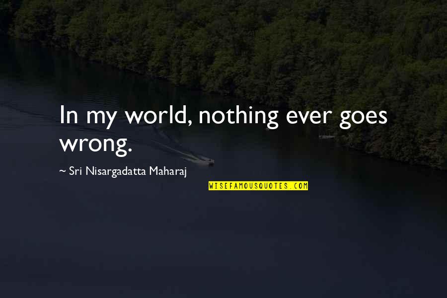 Worm Wildbow Quotes By Sri Nisargadatta Maharaj: In my world, nothing ever goes wrong. Worm Wildbow Quotes By Sri Nisargadatta Maharaj: In my world, nothing ever goes wrong.