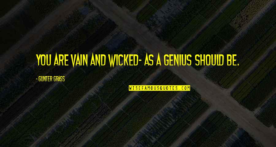Wormers Quotes By Gunter Grass: You are vain and wicked- as a genius Wormers Quotes By Gunter Grass: You are vain and wicked- as a genius