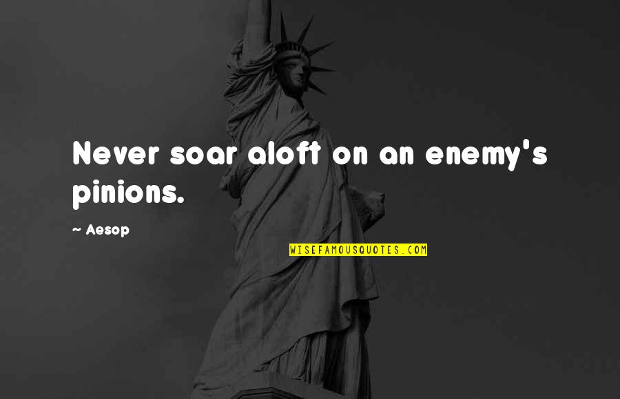 Wormeston Quotes By Aesop: Never soar aloft on an enemy's pinions.