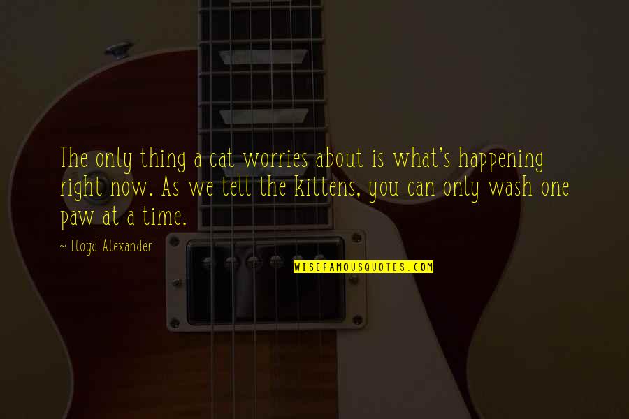 Worries About Quotes By Lloyd Alexander: The only thing a cat worries about is Worries About Quotes By Lloyd Alexander: The only thing a cat worries about is