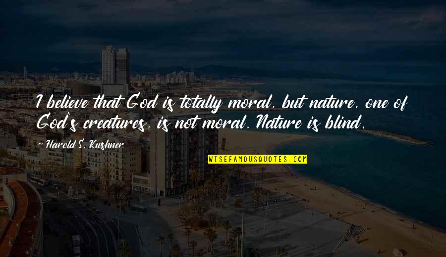 Worrit Quotes By Harold S. Kushner: I believe that God is totally moral, but