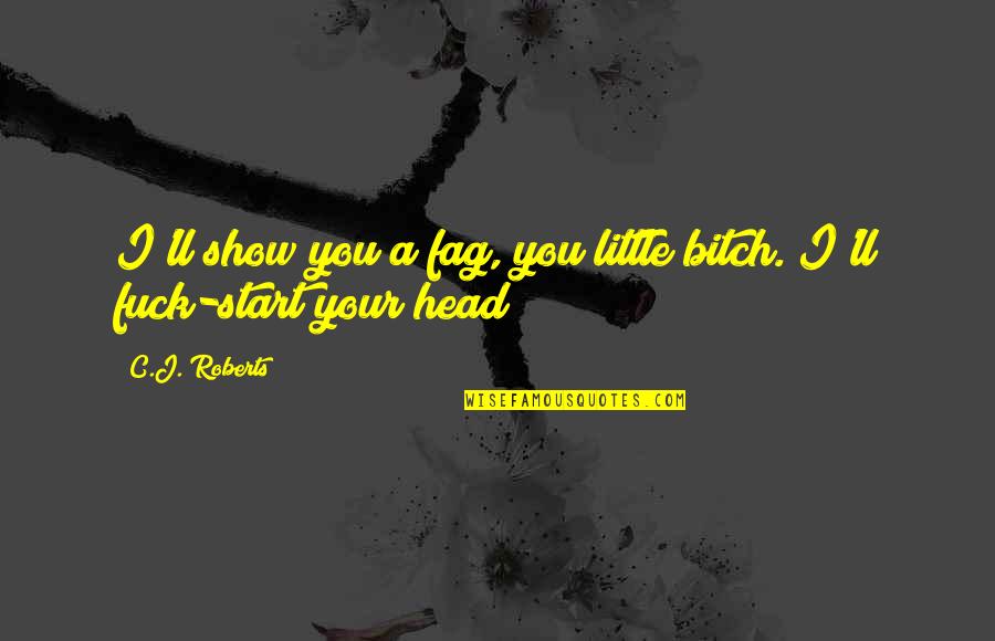 Worrits Quotes By C.J. Roberts: I'll show you a fag, you little bitch.