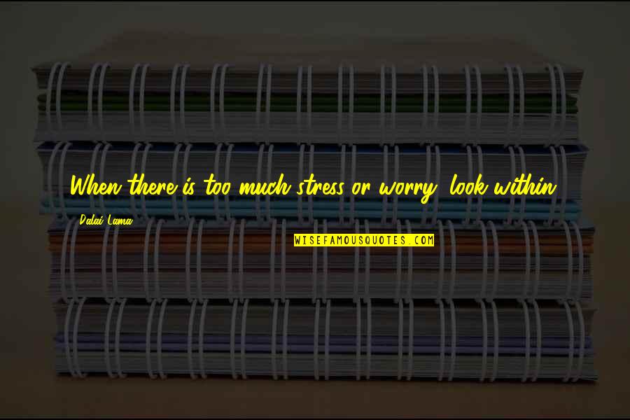 Worry And Stress Quotes By Dalai Lama: When there is too much stress or worry, Worry And Stress Quotes By Dalai Lama: When there is too much stress or worry,