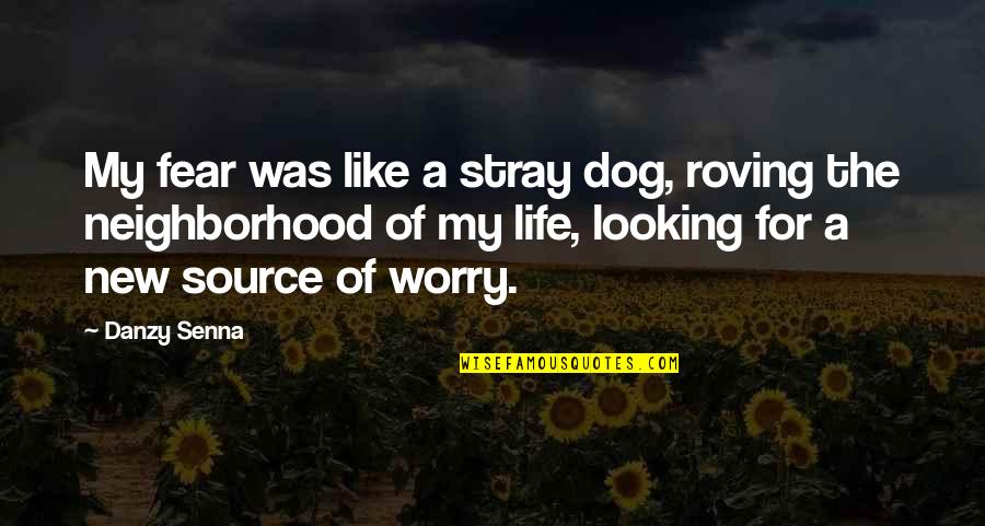 Worry Fear Quotes By Danzy Senna: My fear was like a stray dog, roving