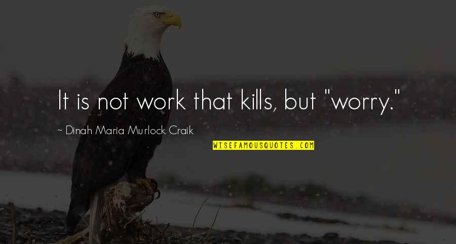 Worry Not Quotes By Dinah Maria Murlock Craik: It is not work that kills, but "worry."