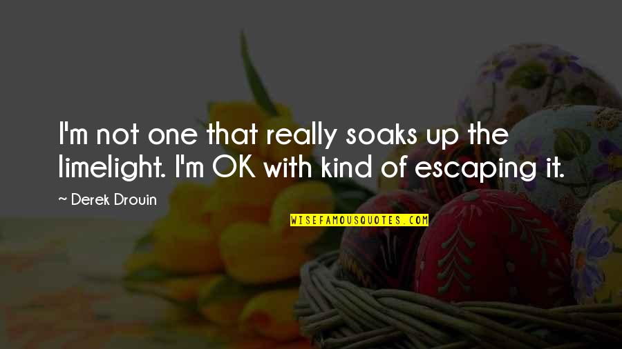 Worschicken Quotes By Derek Drouin: I'm not one that really soaks up the