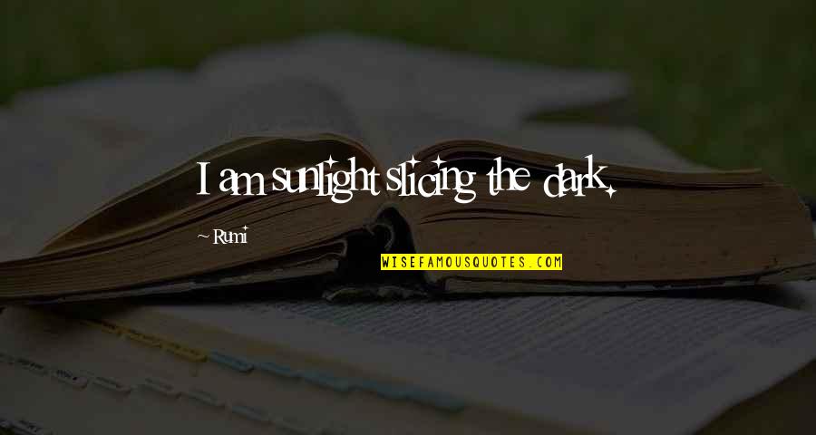 Worst 50 Shades Of Grey Quotes By Rumi: I am sunlight slicing the dark.