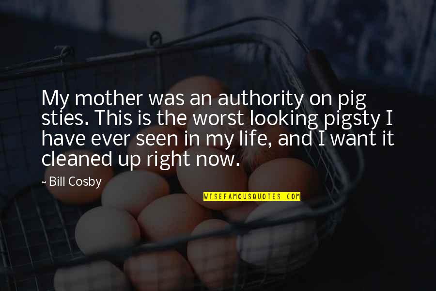 Worst Life Ever Quotes By Bill Cosby: My mother was an authority on pig sties.