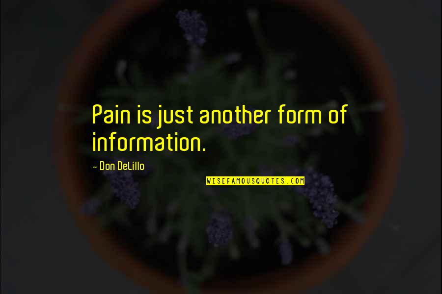 Worth Achieving Quotes By Don DeLillo: Pain is just another form of information.