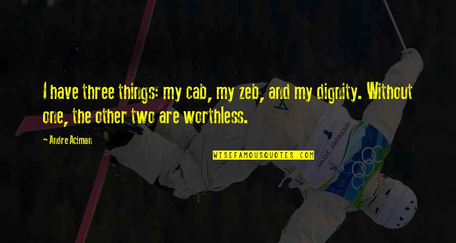 Worthless Things Quotes By Andre Aciman: I have three things: my cab, my zeb,