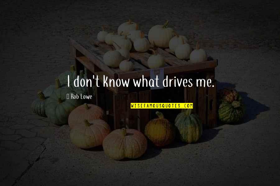 Worthlesseness Quotes By Rob Lowe: I don't know what drives me.