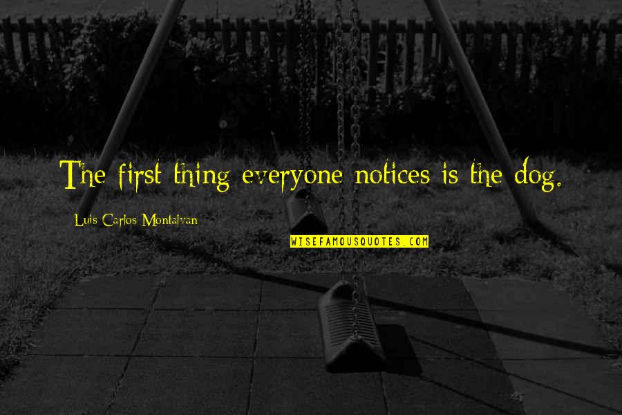 Worthwhile Deep Quotes By Luis Carlos Montalvan: The first thing everyone notices is the dog. Worthwhile Deep Quotes By Luis Carlos Montalvan: The first thing everyone notices is the dog.