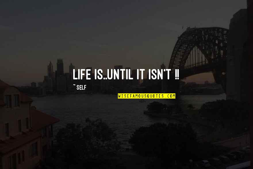 Worthy Opponent Quotes By Self: Life is..until it isn't !!