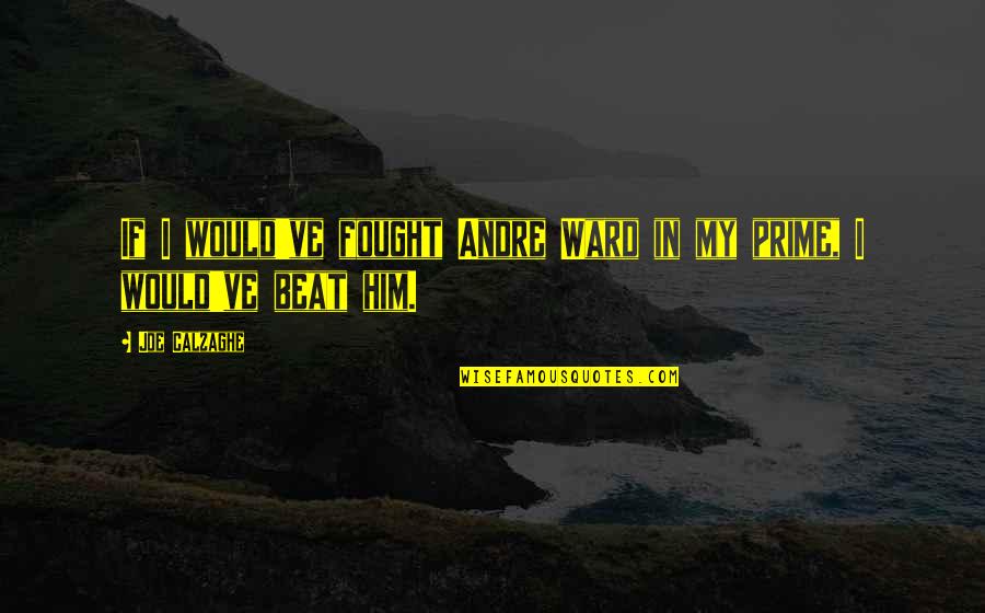 Would If Quotes By Joe Calzaghe: If I would've fought Andre Ward in my