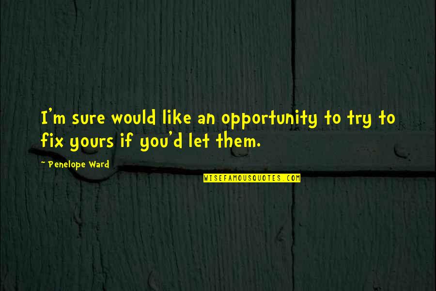 Would You Like You Quotes By Penelope Ward: I'm sure would like an opportunity to try