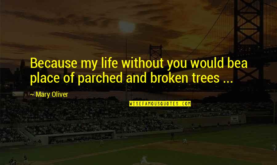 Would You Love Quotes By Mary Oliver: Because my life without you would bea place